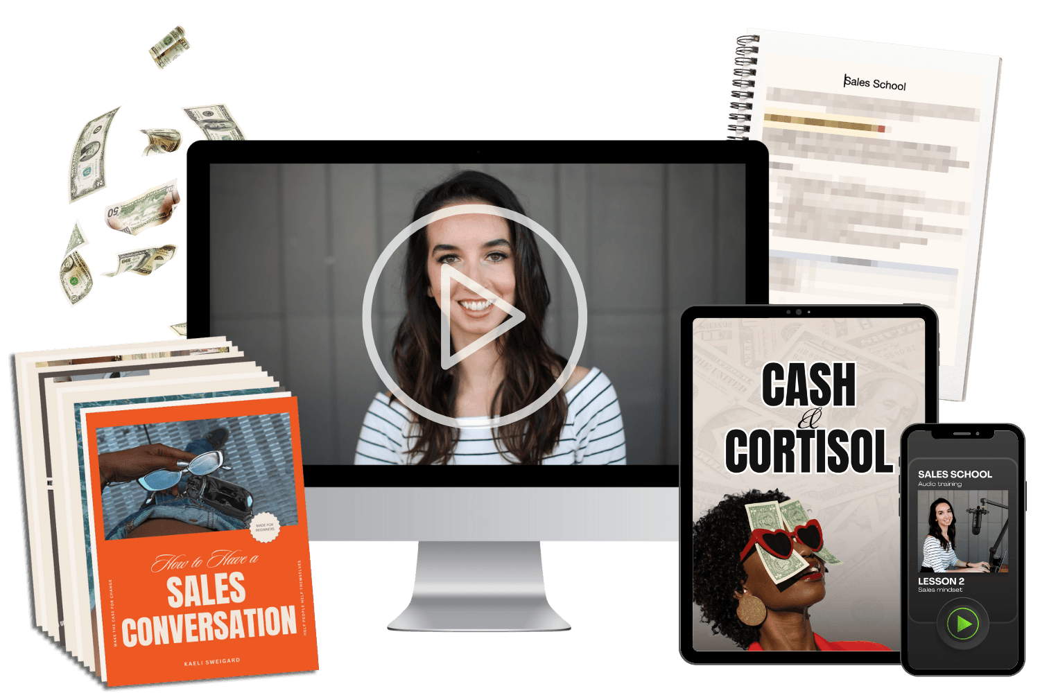 Sales School